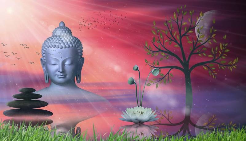 Salon Bien-être Bormes les Mimosas